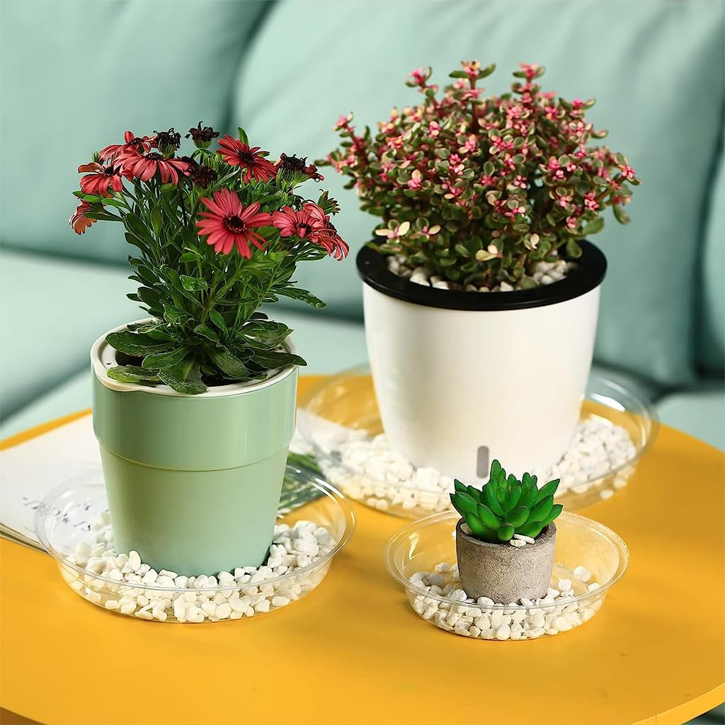 HASTHIP Multipack Plant Pot Saucers-12psc Durable Plastic Trays in 4 Sizes (6''/8''/10''/12''), With Grooved Bottoms For Efficient Drainage, UV-Resistant Indoor & Outdoor Round Plate Set HASTHIP Multipack Plant Pot Saucers-12psc Durable Plastic Trays in 4 Sizes (6''/8''/10''/12''), With Grooved Bottoms For Efficient Drainage, UV-Resistant Indoor & Outdoor Round Plate Set